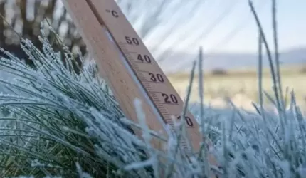 Informacja nt. możliwości składania wniosków o oszacowanie szkód spowodowanych wiosennymi przymrozkami