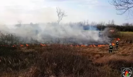 Wypalanie traw grozi utratą dopłat