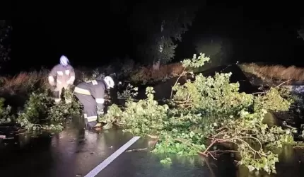Kolizje, pożary, usuwanie skutków silnego wiatru [raport strażaków]