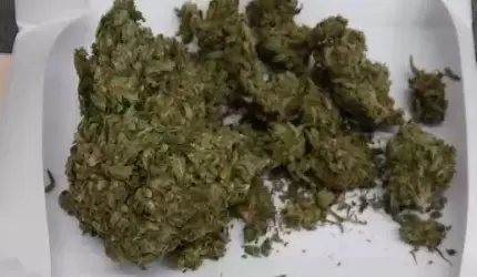 Policja znalazłe narkotyki w mieszkaniu 22-latka