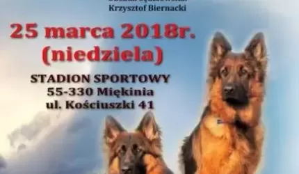 Wystawa Owczarków Niemieckich w Miękini