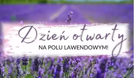 Inauguracja lawendowego sezonu w Jastrzębcach