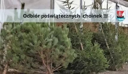 Odbiór poświątecznych choinek w gminie Malczyce