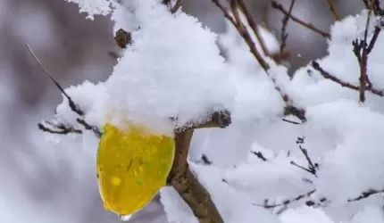 Wielkanocne anomalie pogodowe - jak będzie?