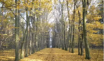 „Aktywni Razem” planują rewitalizację parku