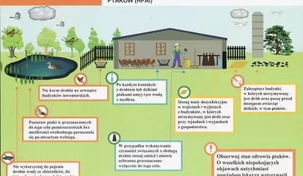 Zniesienie obszaru zagrożonego wystąpieniem grypy ptaków (HPAI)