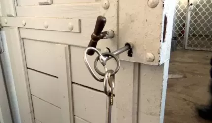 Poszukiwani w rękach średzkich policjantów