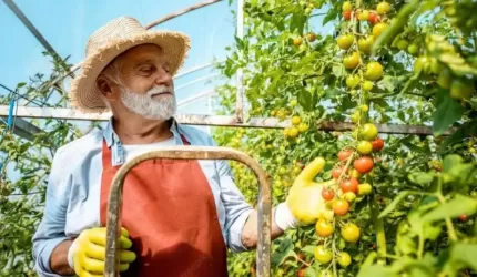 Bezpieczna praca na wysokości