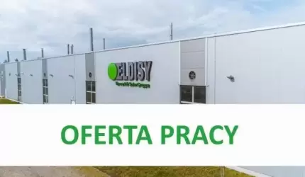 Eldisy wkrótce startuje z nowymi projektami - dołącz do zespołu!