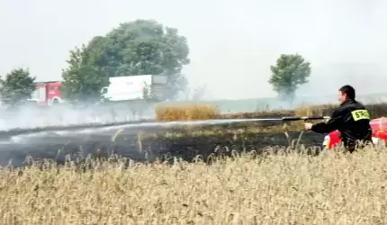 Palił się kombajn i samochody ciężarowe...