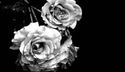 Kondolencje dla Rodziny Krzysztofa Gruszczyńskiego