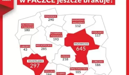 Pilnie poszukiwani Wolontariusze Szlachetnej Paczki!