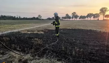 Za to grozi kara aresztu, grzywny, a nawet pozbawienia wolności!