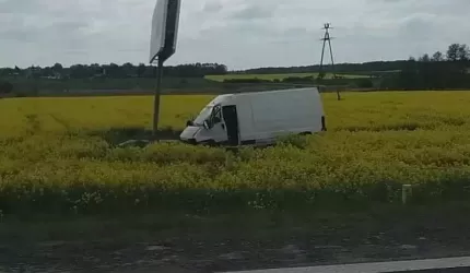 Kolizja z sarną. Poszkodowani - kierowca i dziecko