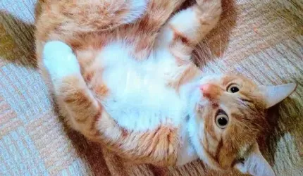 No to kochani - miseczki z wodą w dłoń!