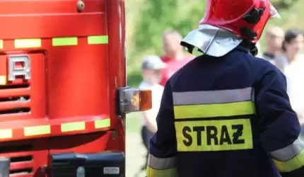 Auto w rowie, borsuk uwięziony w grobowcu... (z raportu strażaków)