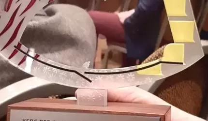 Strażacy z Czernej i Ujazdu Górnego laureatami szczególnej nagrody!