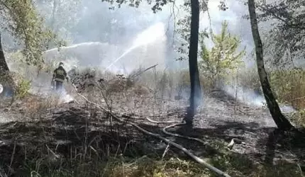 Koło Damianowa eksplodowała amunicja