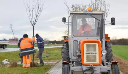 "Jedni sadzą - inni dewastują"
