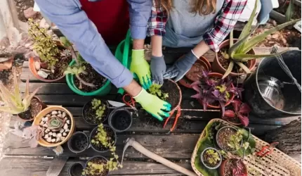 PCeKA zaprasza na bezpłatne warsztaty ogrodnicze