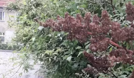 Mieszkaniec: Należy zauważyć ten problem!