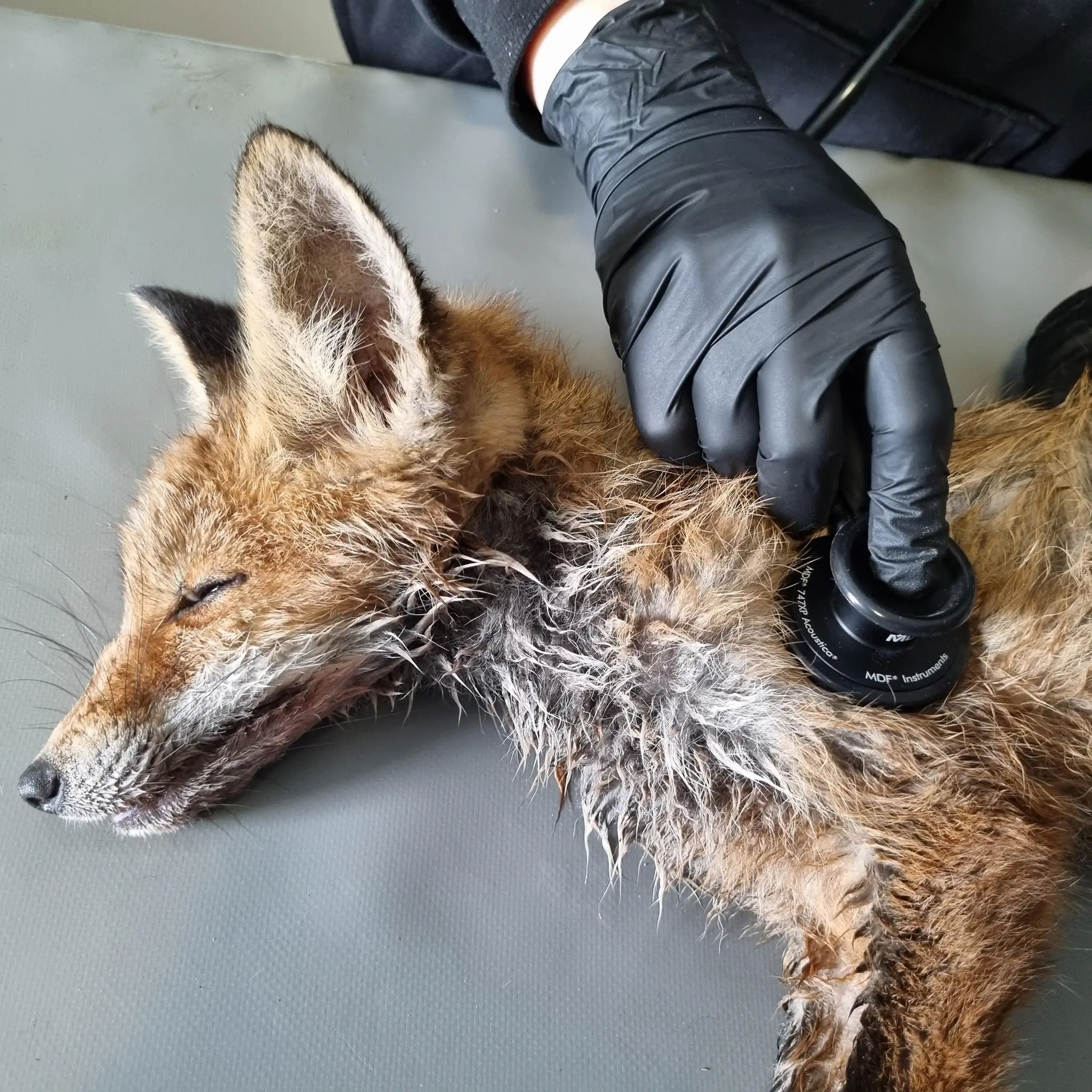 347228202 1570329516825836 6446966511005089983 n