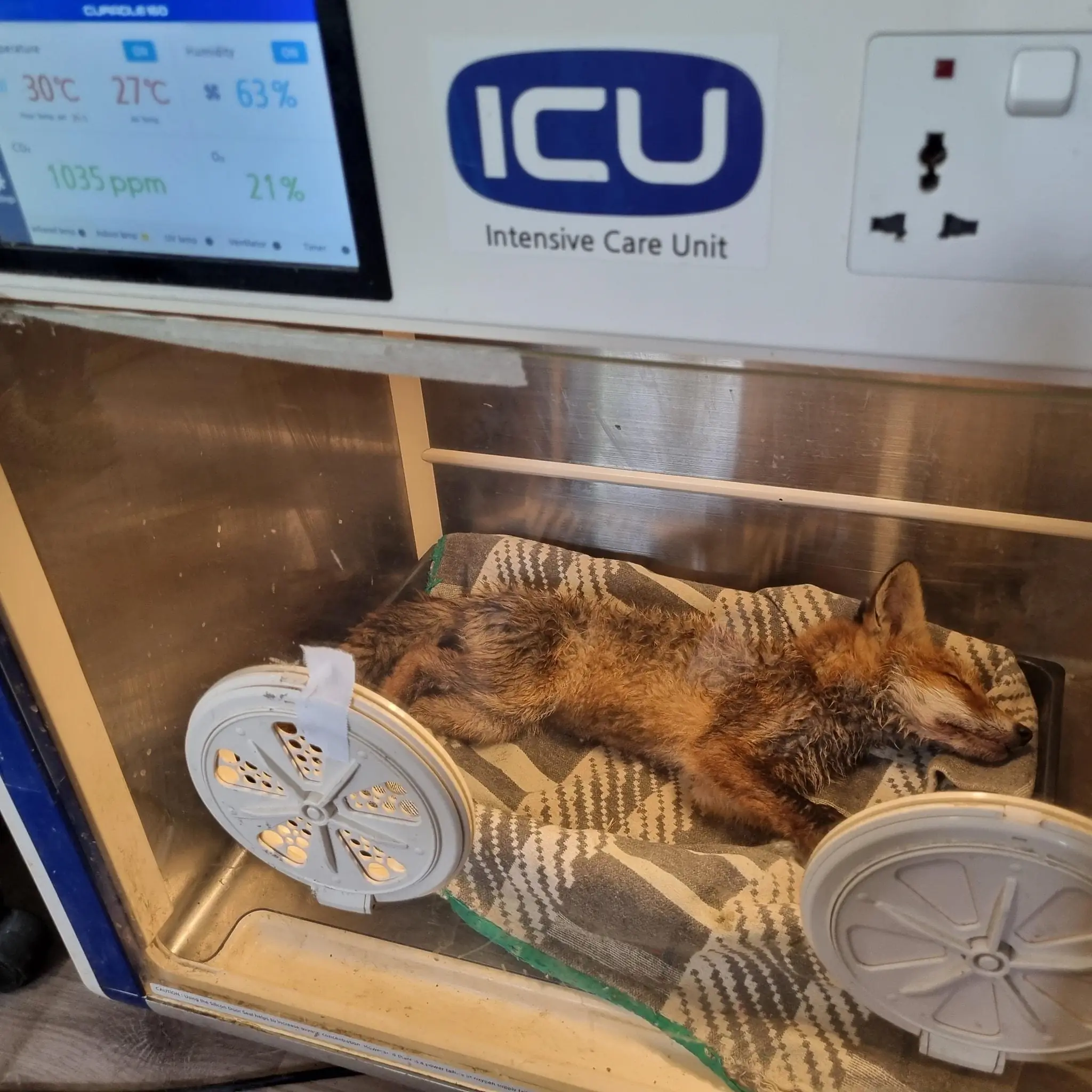 347416373 2329133350580780 497770352948325969 n