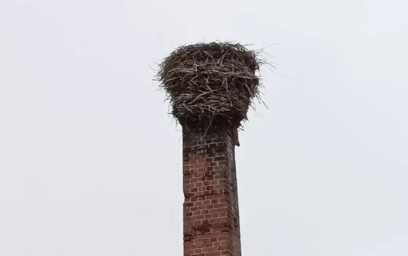 150904513 433946031058979 4609769534574844483 n