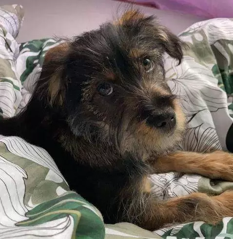 162130211 267614868255692 4015339151499454620 n