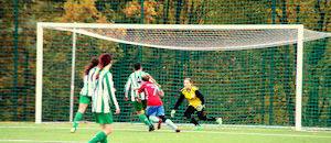 3 polonia0