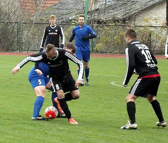 zerniki1