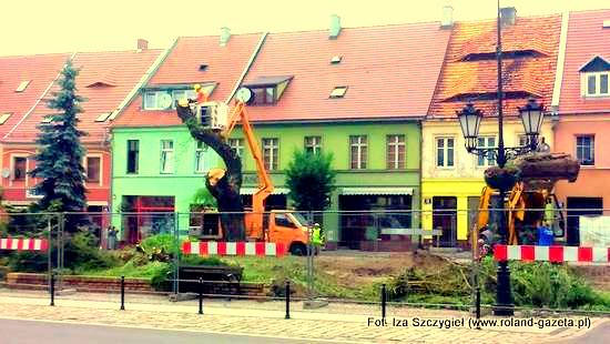 WIERZBA