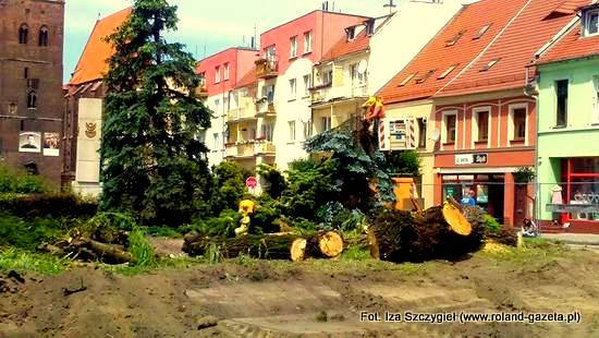 WIERZBA1