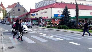 pasy 0