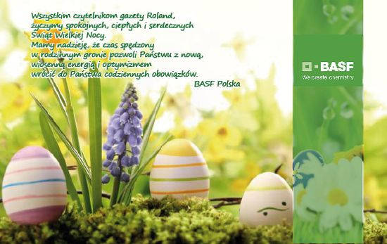 basf zyczenia