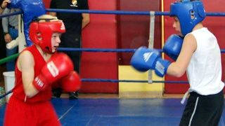 bokser filip 0