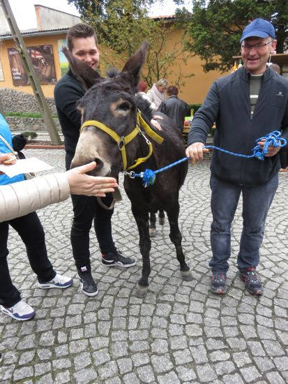 kiermasz mal 4