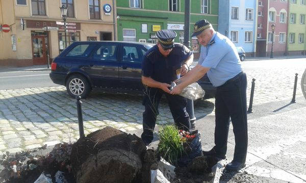 kolizja z donica 1