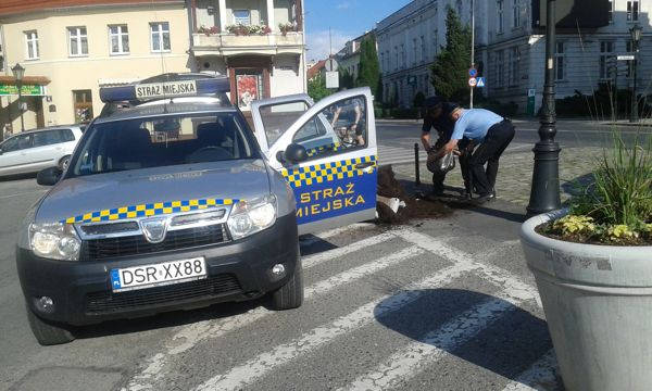 kolizja z donica 2