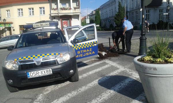 kolizja z donica 3