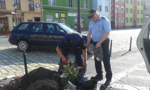 kolizja z donica