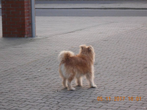 DSCN0880