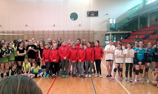 volley2