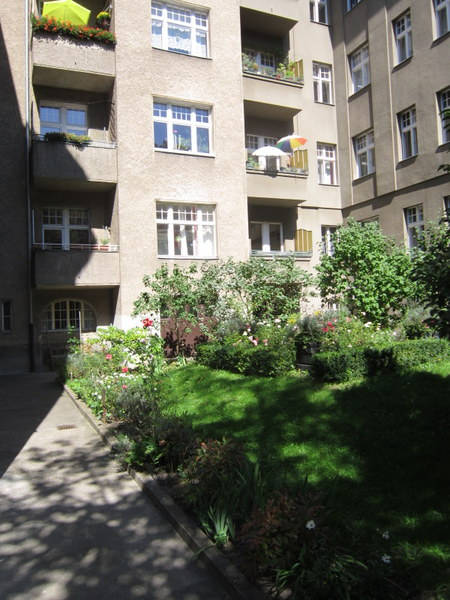 IMG 1189