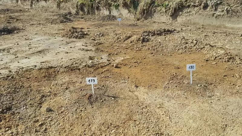 22139812 1442868095750246 224070829 o