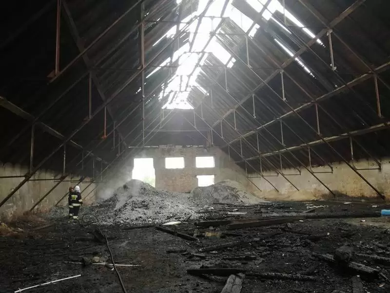 22491493 973391709466824 3483226133343709104 n