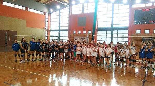 volley 4
