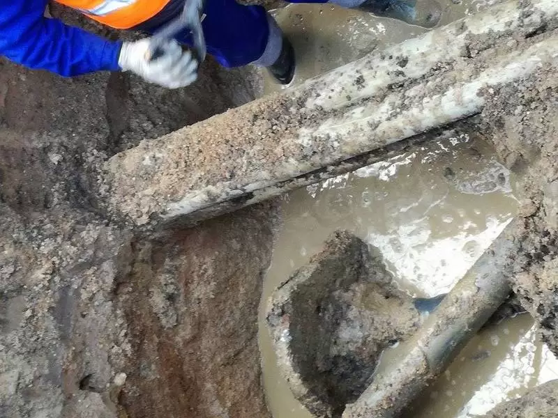 15310429 1153604911354621 548687717 n