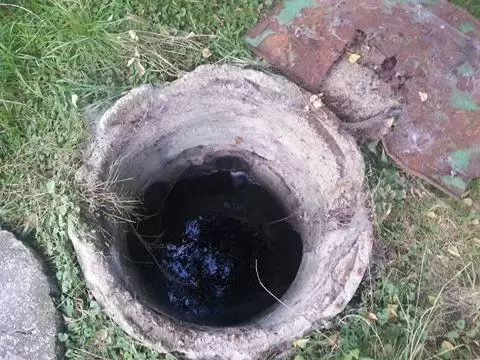 21903421 1920244641573700 488671071 n