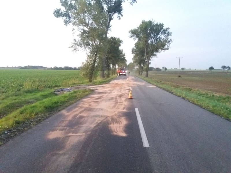 plama oleju1
